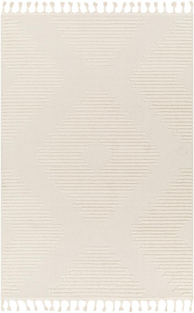 Livabliss - Nora 67inx9 Machine Woven Rug - NOA2304-679 veiw 1