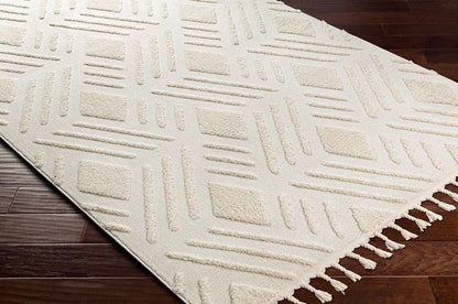 Livabliss - Nora 53inx7 Machine Woven Rug - NOA2306-537 veiw 3