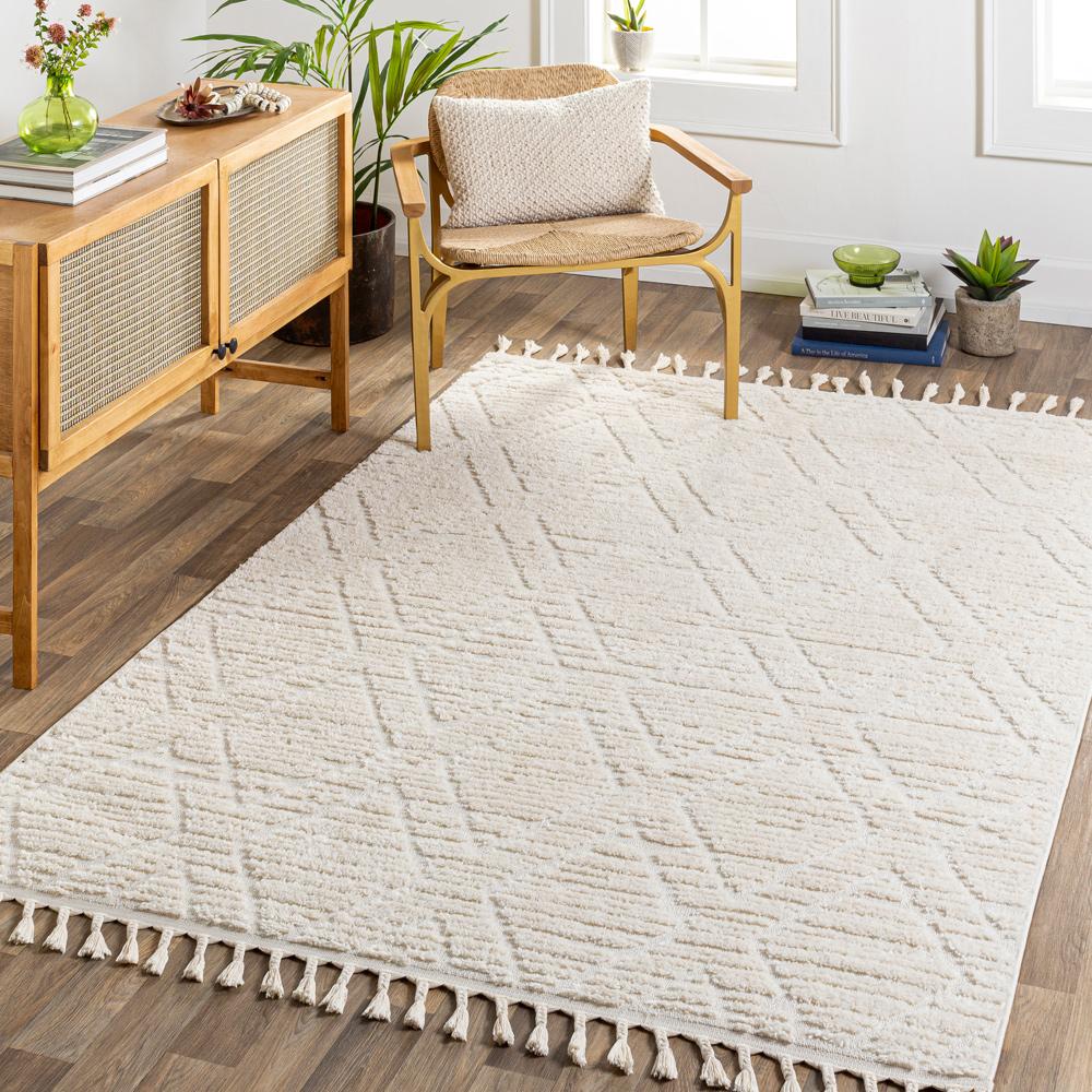 Livabliss - Nora 53inx7 Machine Woven Rug - NOA2308-537_CLOSEOUT veiw 2