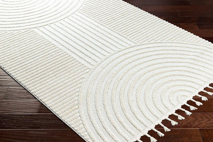 Livabliss - Nora 53inx7 Machine Woven Rug - NOA2309-537 veiw 3