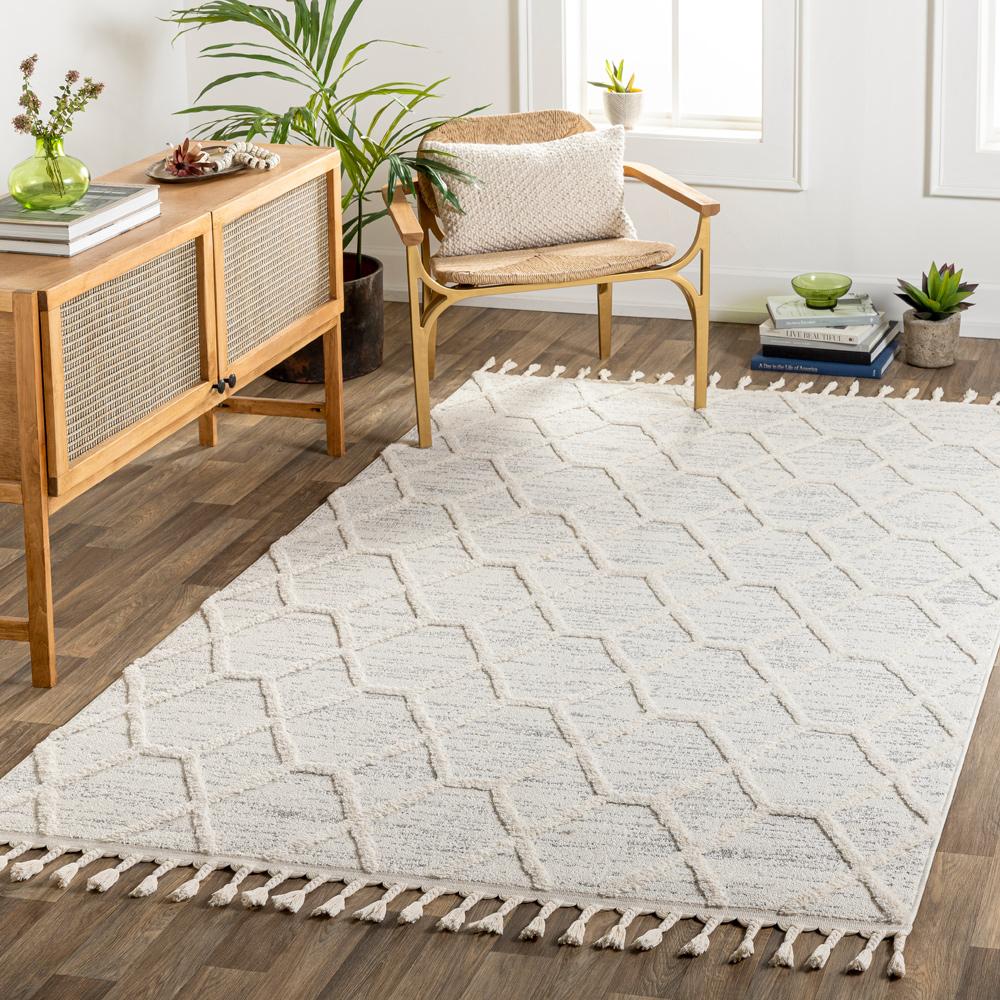Livabliss - Nora 710inx10 Machine Woven Rug - NOA2311-71010_CLOSEOUT veiw 2