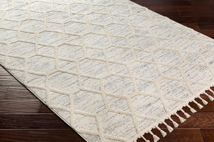 Livabliss - Nora 710inx10 Machine Woven Rug - NOA2311-71010_CLOSEOUT veiw 3