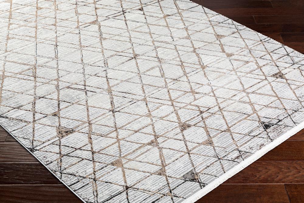Livabliss - Obsession 67inx9 Machine Woven Rug - OBN2302-679 veiw 3