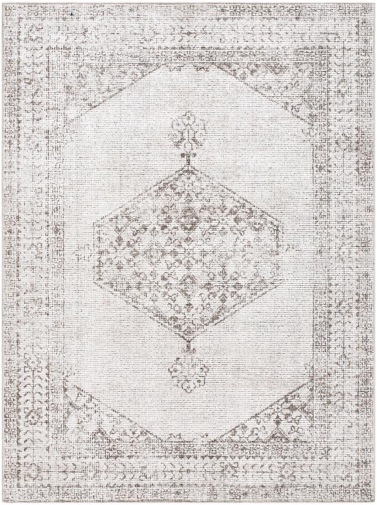 Livabliss - Olympic 67inx9 Machine Woven Rug - PNWOL2300-679 veiw 1