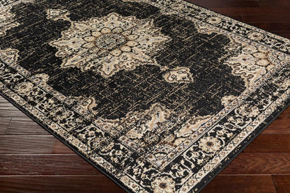 Livabliss - Paramount 810inx1210in Machine Woven Rug - PAR1089-810129 veiw 3