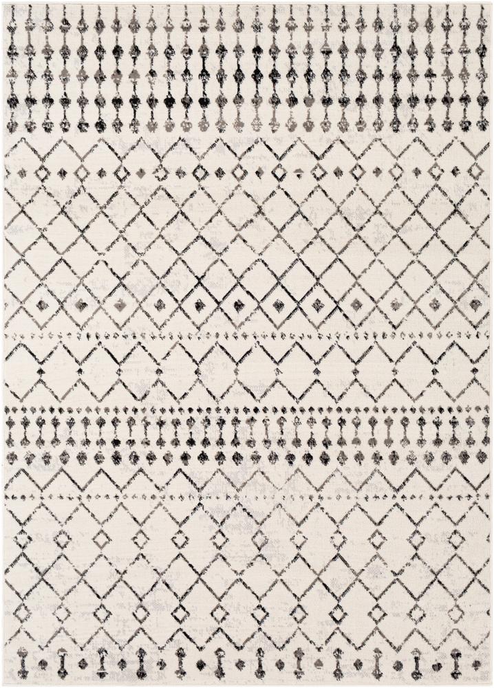 Livabliss - Pisa 5x7 Machine Woven Rug - PSS2300-57 veiw 1