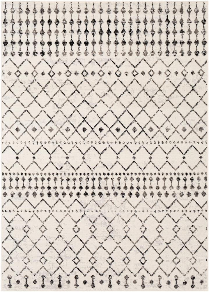 Livabliss - Pisa 67inx9 Machine Woven Rug - PSS2300-679 veiw 1