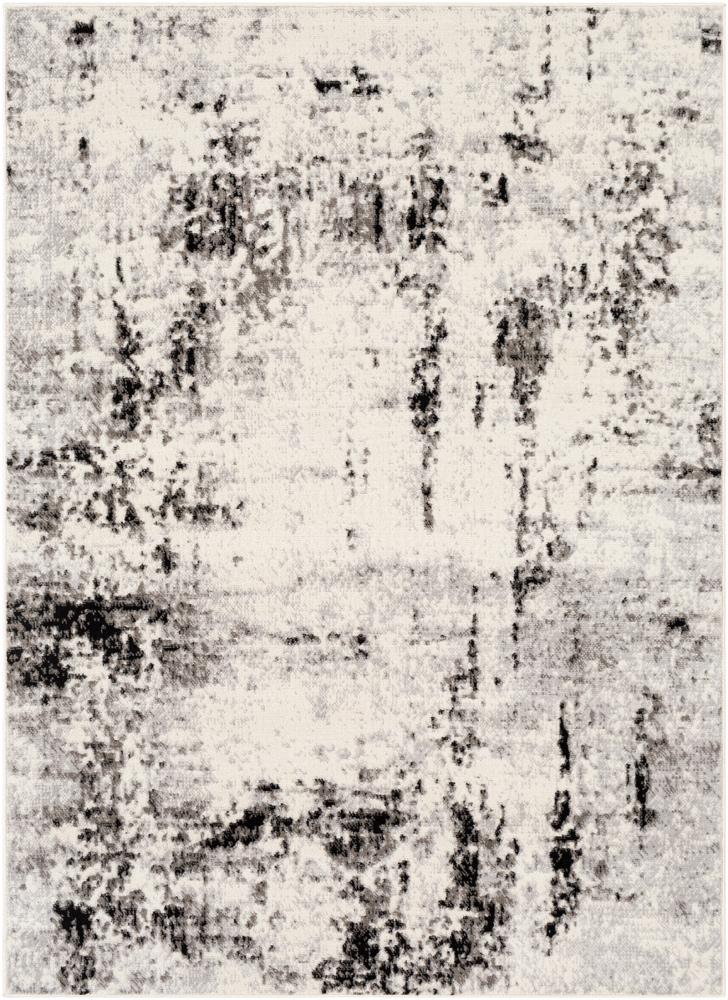 Livabliss - Pisa 5x7 Machine Woven Rug - PSS2303-57 veiw 1