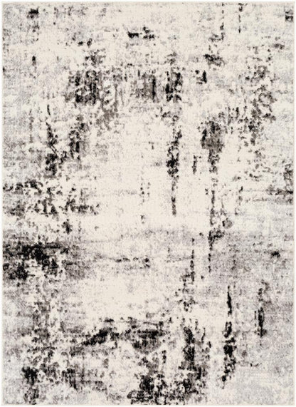 Livabliss - Pisa 5x7 Machine Woven Rug - PSS2303-57 veiw 1