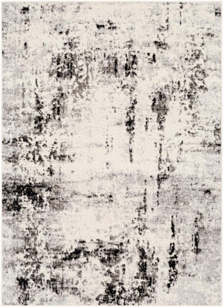 Livabliss - Pisa 67inx9 Machine Woven Rug - PSS2303-679 veiw 1