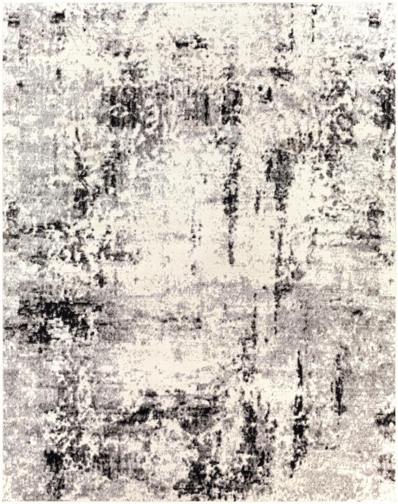 Livabliss - Pisa 710inx10 Machine Woven Rug - PSS2303-71010 veiw 1