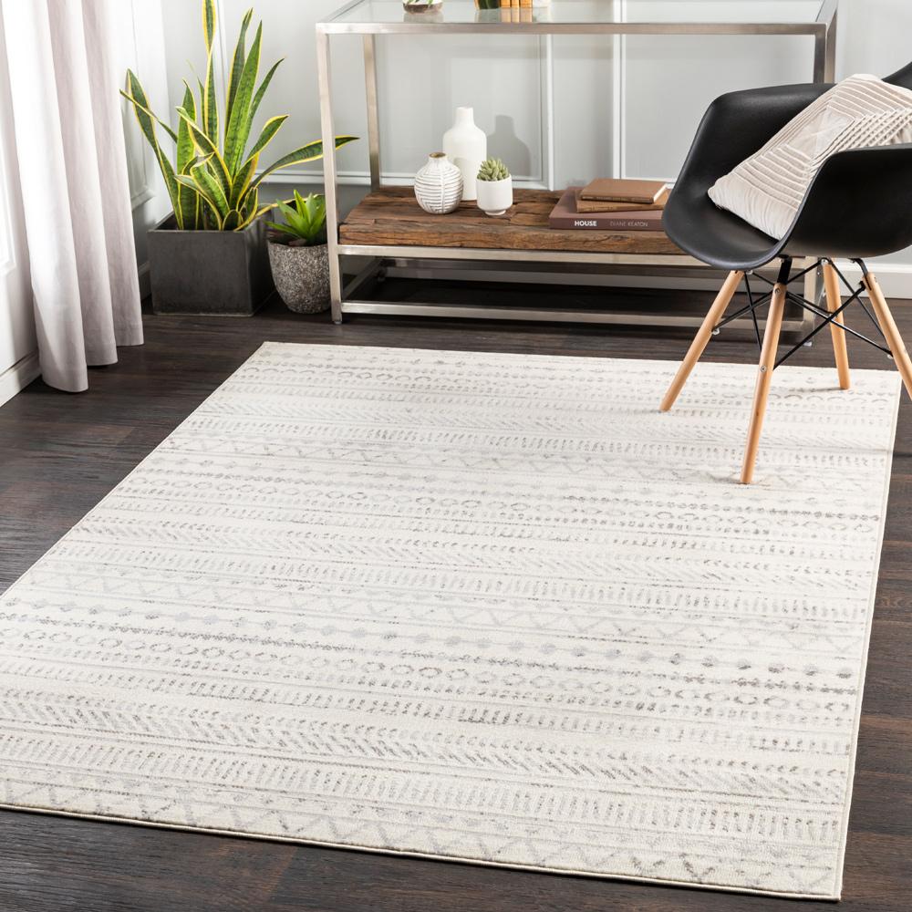 Livabliss - Pisa 5x7 Machine Woven Rug - PSS2304-57 veiw 2