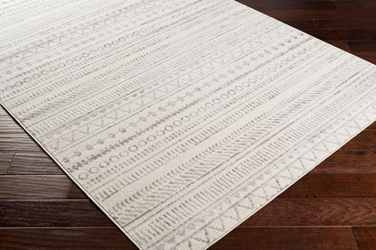 Livabliss - Pisa 5x7 Machine Woven Rug - PSS2304-57 veiw 3