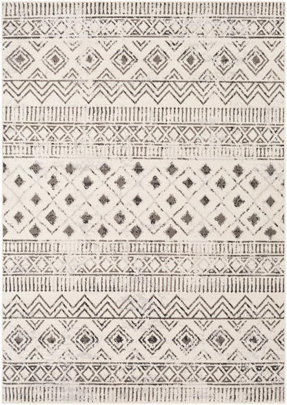 Livabliss - Pisa 5x7 Machine Woven Rug - PSS2305-57_CLOSEOUT veiw 1