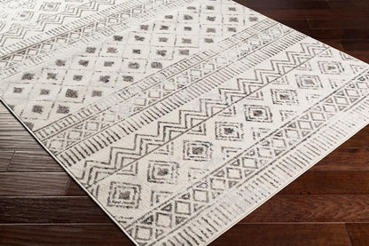 Livabliss - Pisa 5x7 Machine Woven Rug - PSS2305-57_CLOSEOUT veiw 3
