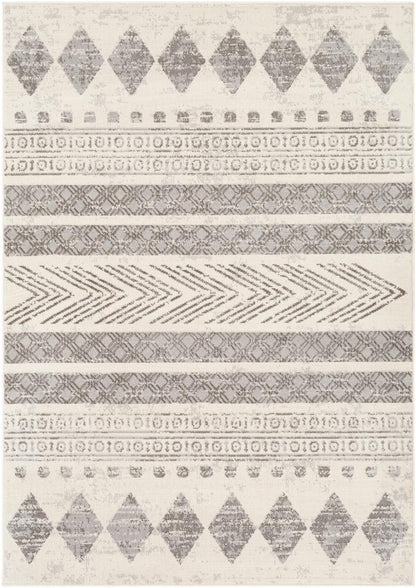 Livabliss - Pisa 67inx9 Machine Woven Rug - PSS2306-679 veiw 1