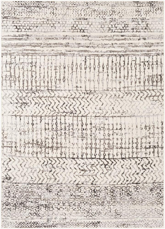 Livabliss - Pisa 5x7 Machine Woven Rug - PSS2310-57 veiw 1