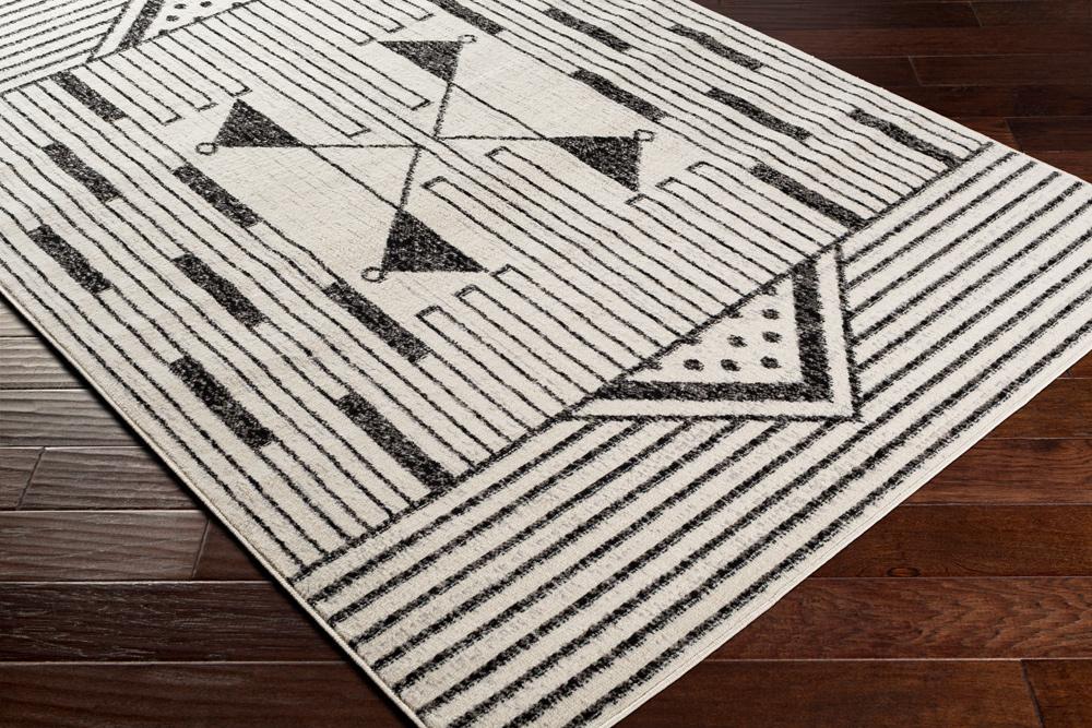 Livabliss - Pisa 5x7 Machine Woven Rug - PSS2316-57_CLOSEOUT veiw 3