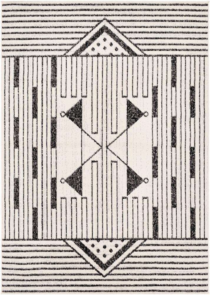 Livabliss - Pisa 67inx9 Machine Woven Rug - PSS2316-679_CLOSEOUT veiw 1