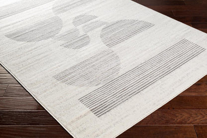 Livabliss - Pisa 5x7 Machine Woven Rug - PSS2319-57 veiw 3