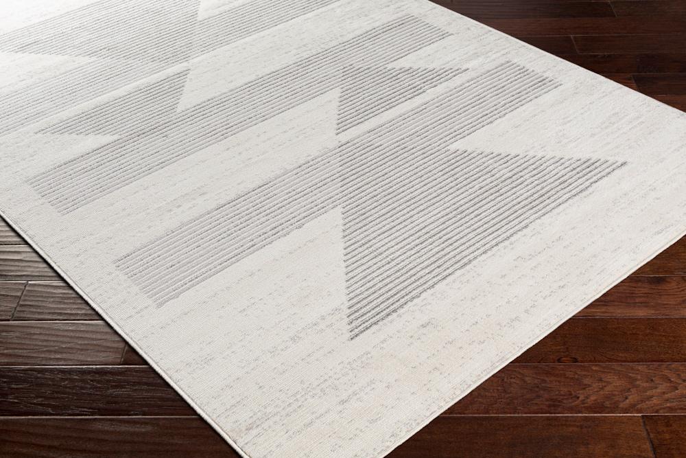 Livabliss - Pisa 5x7 Machine Woven Rug - PSS2321-57_CLOSEOUT veiw 3