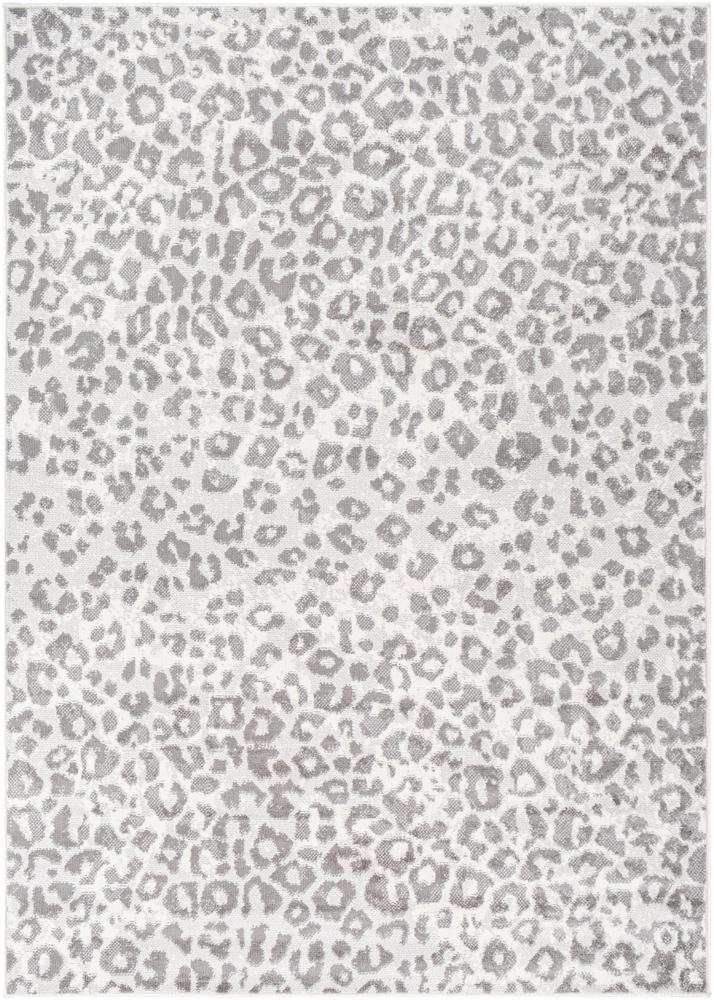 Livabliss - Pisa 5x7 Machine Woven Rug - PSS2323-57 veiw 1