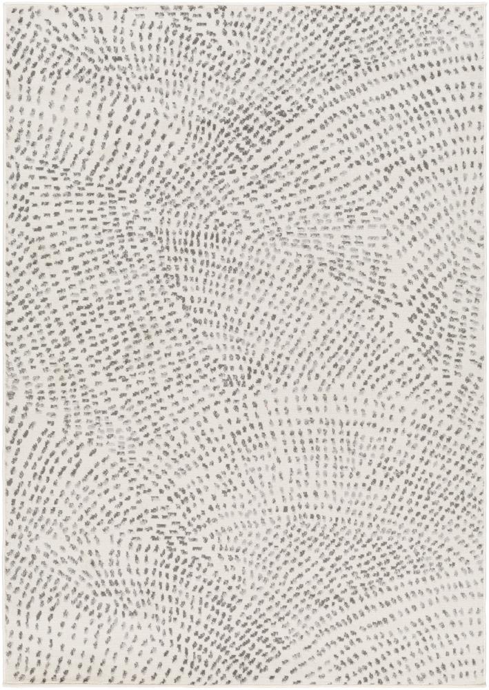 Livabliss - Pisa 67inx9 Machine Woven Rug - PSS2365-679 veiw 1
