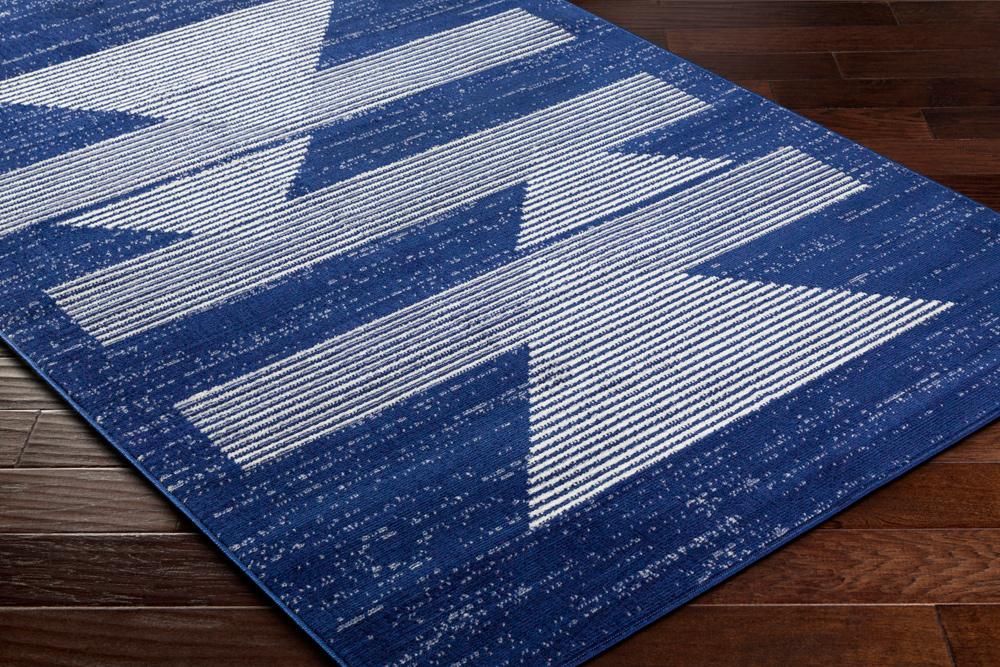 Livabliss - Pisa 67inx9 Machine Woven Rug - PSS2377-679 veiw 3