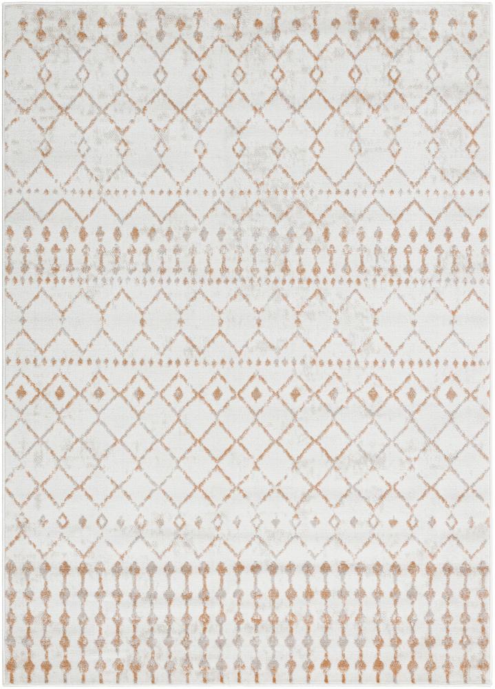 Livabliss - Pisa 5x7 Machine Woven Rug - PSS2386-57 veiw 1