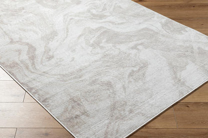 Livabliss - Pisa 5x7 Machine Woven Rug - PSS2390-57 veiw 3