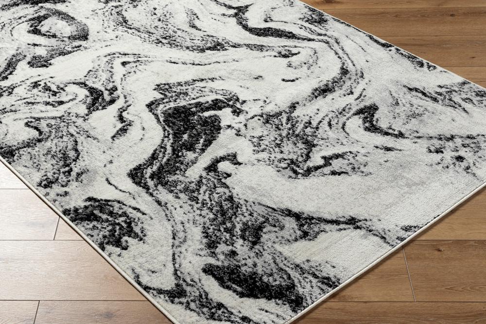 Livabliss - Pisa 67inx9 Machine Woven Rug - PSS2392-679 veiw 2