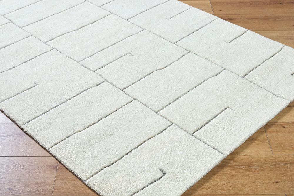 Livabliss - Portobello 53inx77in Handmade Rug - PBO2315-5377 veiw 3