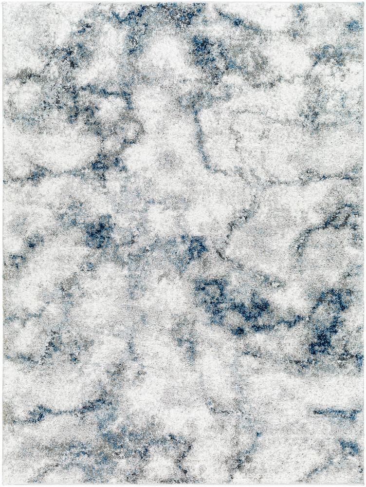 Livabliss - Portofino 67inx9 Machine Woven Rug - PTF2317-679 veiw 1