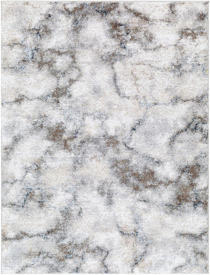 Livabliss - Portofino 53inx7 Machine Woven Rug - PTF2318-537 veiw 1
