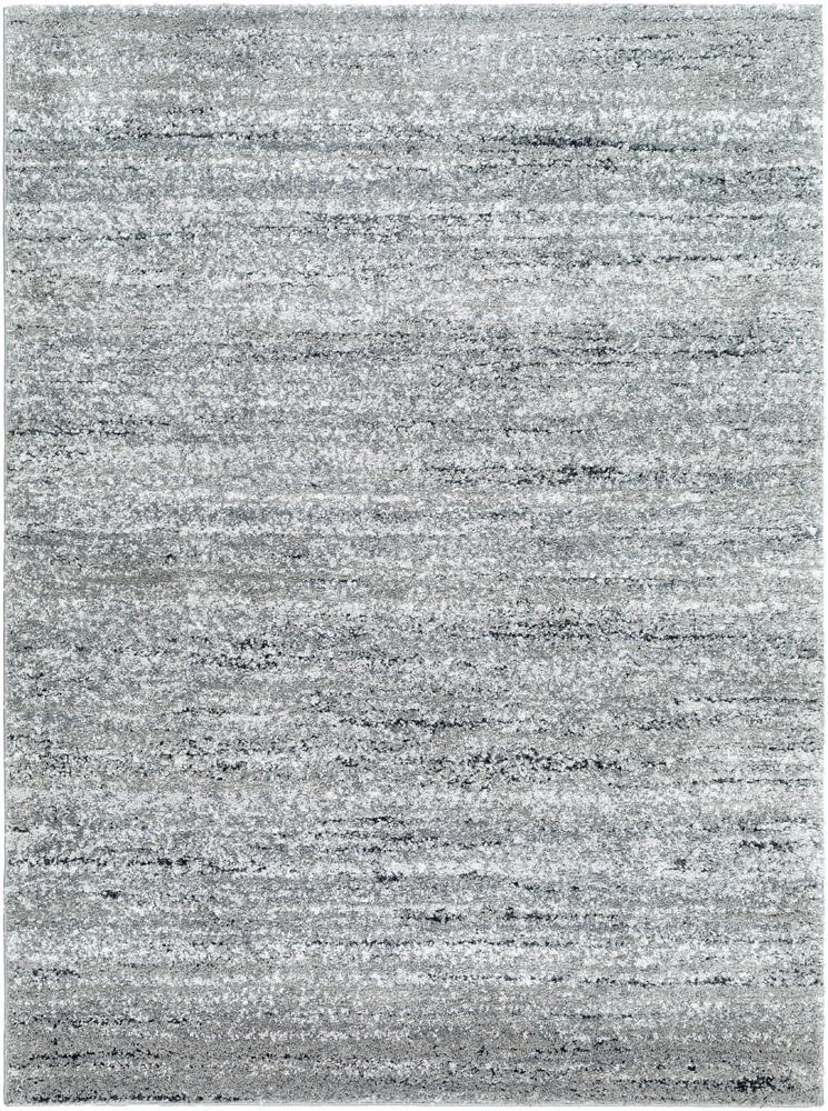 Livabliss - Portofino 53inx7 Machine Woven Rug - PTF2323-537 veiw 1