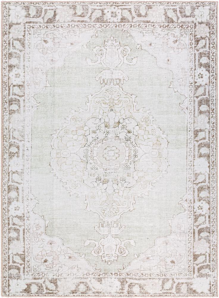 Livabliss - Rainier 53inx73in Machine Woven Rug - PNWRN2300-5373 veiw 1