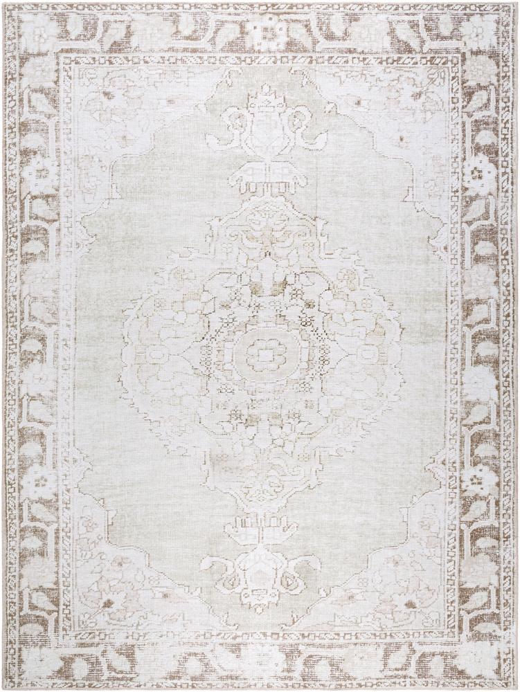 Livabliss - Rainier 810inx12 Machine Woven Rug - PNWRN2300-81012 veiw 1