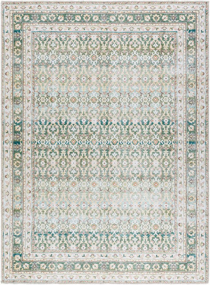 Livabliss - Rainier 710inx102in Machine Woven Rug - PNWRN2304-710102 veiw 1