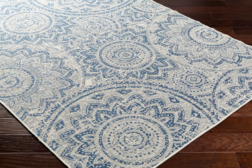 Livabliss - Ravello 53inx7 Machine Woven Rug - RVL2312-537 veiw 3