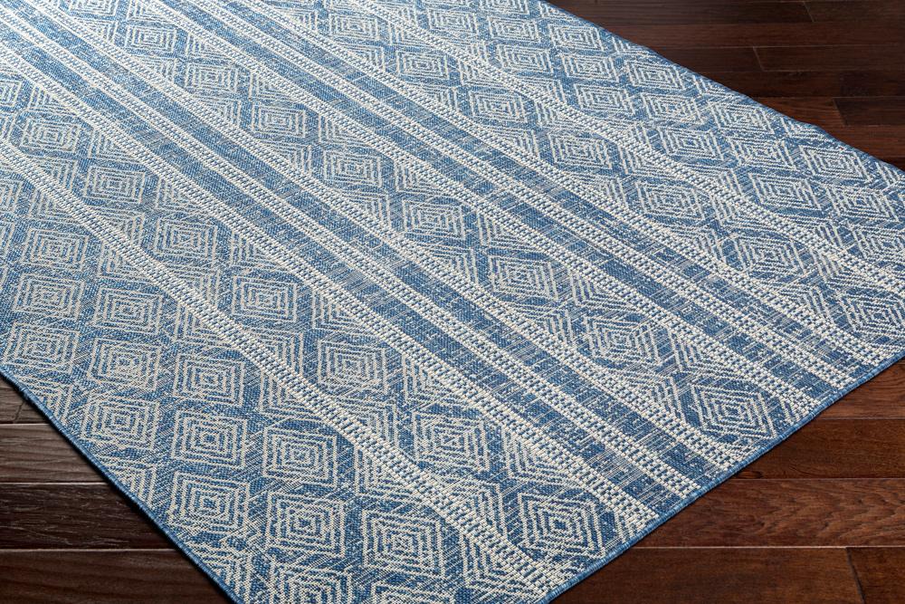 Livabliss - Ravello 53inx7 Machine Woven Rug - RVL2321-537 veiw 2