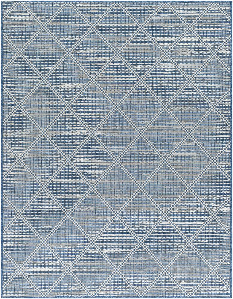 Livabliss - Ravello 53inx7 Machine Woven Rug - RVL2363-537 veiw 1