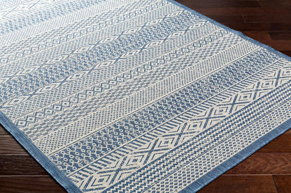 Livabliss - Ravello 67inx9 Machine Woven Rug - RVL2372-679 veiw 3