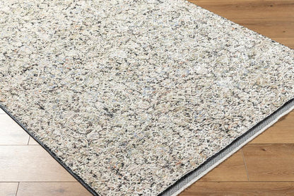 Livabliss - Rivaldo 5x7 Machine Woven Rug - RVD2300-57 veiw 3