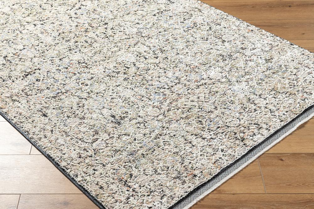 Livabliss - Rivaldo 7x7 Machine Woven Rug - RVD2300-7RD veiw 3
