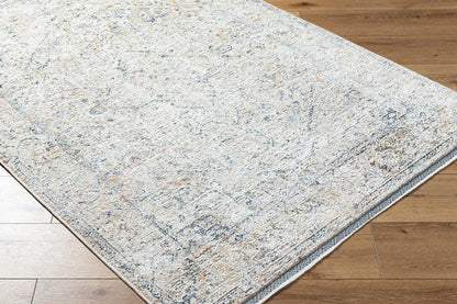 Livabliss - Rivaldo 5x7 Machine Woven Rug - RVD2307-57 veiw 3