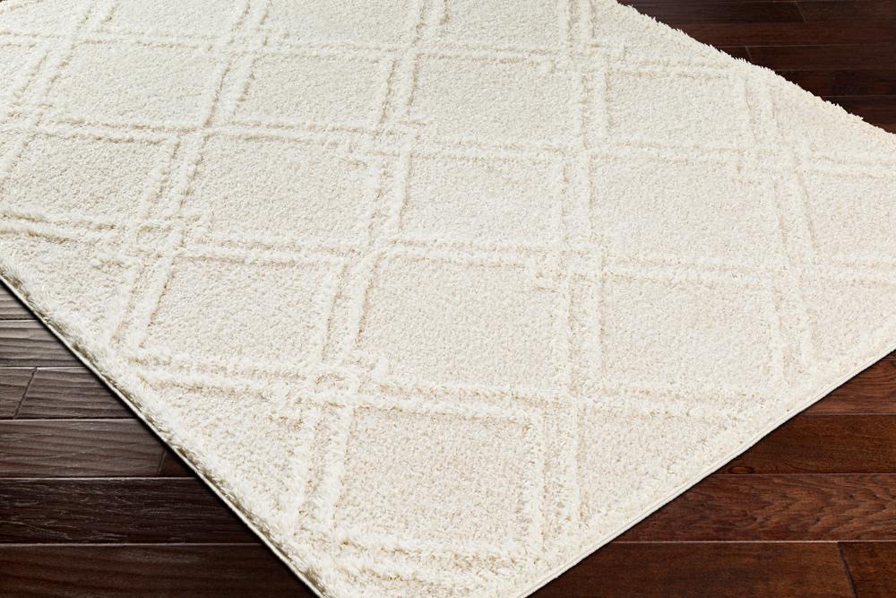 Livabliss - Rodos 710inx10 Machine Woven Rug - RDO2312-71010 veiw 3