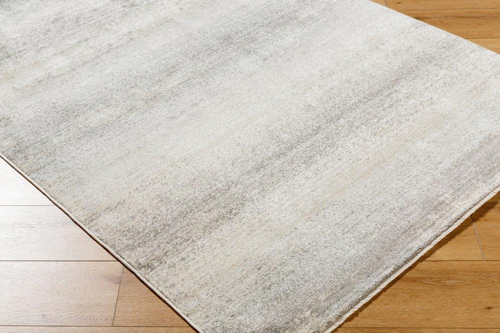 Livabliss - Rojin 26inx73in Machine Woven Rug - ROJ2308-2673_CLOSEOUT veiw 3