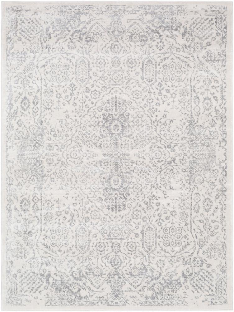 Livabliss - Roma 811inx124in Machine Woven Rug - ROM2314-9123 veiw 1