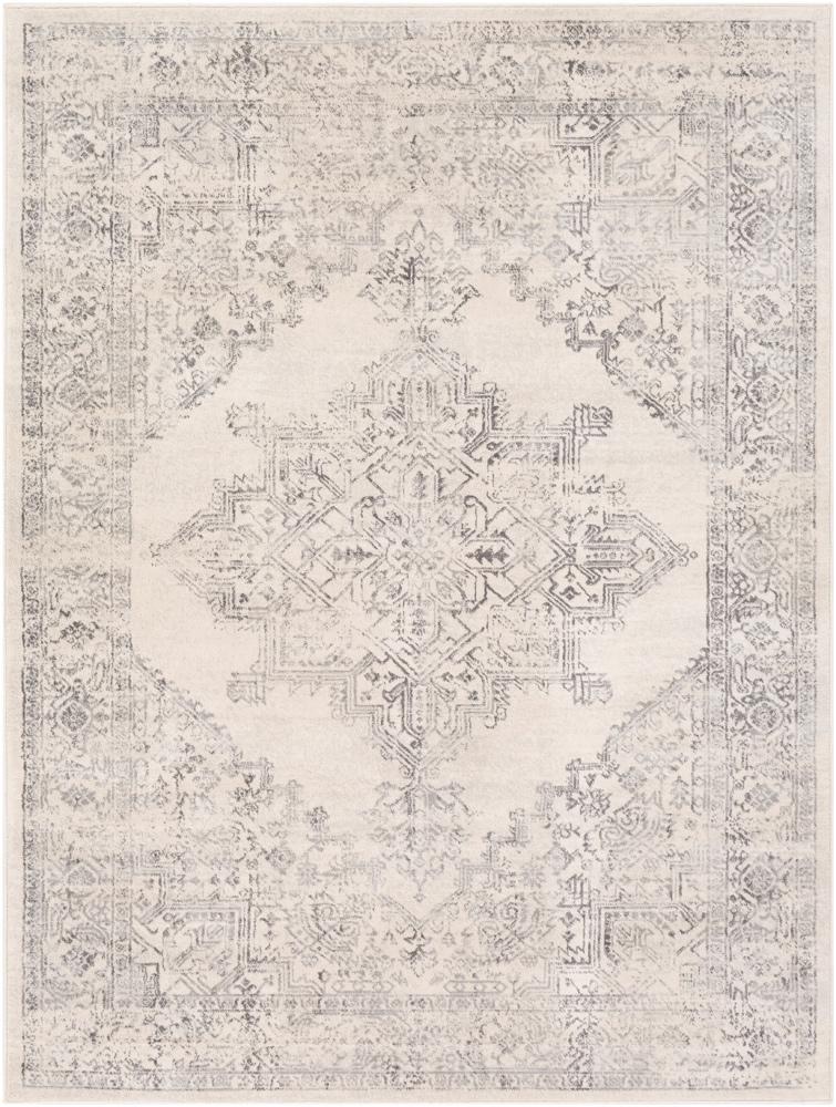 Livabliss - Roma 53inx71in Machine Woven Rug - ROM2322-5371 veiw 1