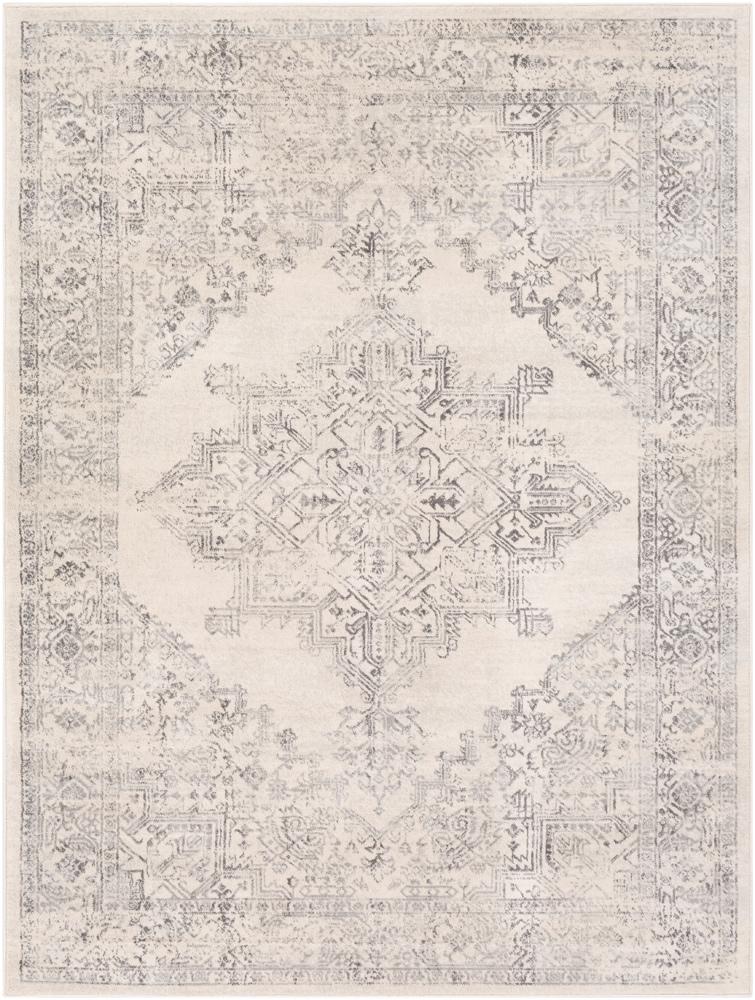 Livabliss - Roma 67inx9 Machine Woven Rug - ROM2322-679 veiw 1